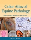 obrázek zboží Color Atlas of Equine Pathology