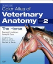 obrázek zboží Color Atlas of Veterinary Anatomy, Volume 2, The Horse,