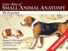 obrázek zboží Color Atlas of Small Animal Anatomy the Essentials