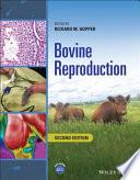 obrázek zboží Bovine Reproduction, 2nd Edition