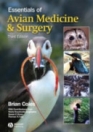 obrázek zboží Essentials of Avian Medicine and Surgery Third Edition