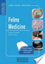 obrázek zboží Self-Assessment Color Review Feline Medicine 