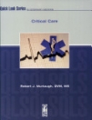 obrázek zboží Critical Care (Quick Look Series)