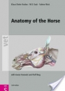 obrázek zboží Anatomy of the Horse, 6/e