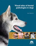 obrázek zboží Visual atlas of dental pathologies in dogs