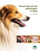 obrázek zboží Visual atlas of oral pathologies in dogs 